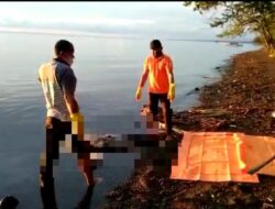 Mayat Tersangkut Di Batu Karang Pantai Ampibabo PARIMO