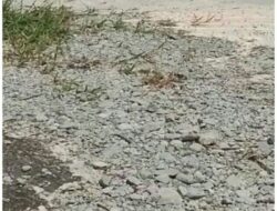 Pembuatan Tempat Jemuran Jagung, di Duga Cuman Pencitraan