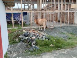 Perda Ternak Kabupaten Tojo una-una.Sulteng. no .10 tahun 2010 Ompong.