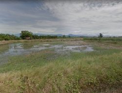 Penyerobotan Sebidang Lahan a.n. H. Syamsuddin oleh Seorang Pensiunan TNI di Pinrang