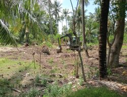 Lahan KopDes Desa   pesuloang  mulai  dibersikan” Najib, harap mendukung peningkatan perekonomian desa dan masyarakat